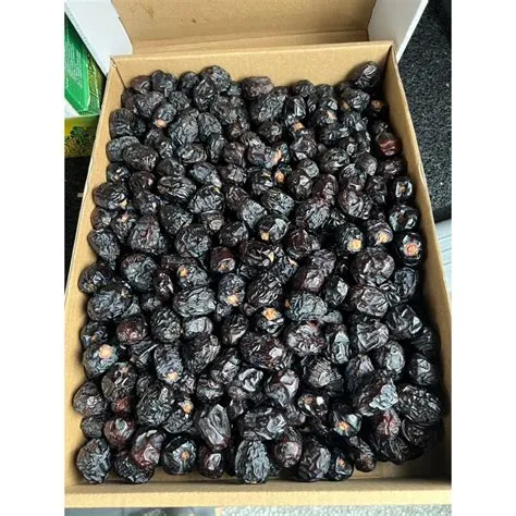 kurma-ajwa-ready-stock-Stock-Temukan