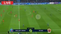 thqnice20vs20psg20piala20perancis
