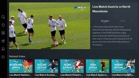live-sport-Panduan-Lengkap